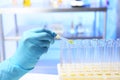 Laboratory assistant dripping urine sample for analysis from pipette into test tube Royalty Free Stock Photo