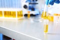 Laboratory assistant dripping urine sample from pipette into container on table, closeup with space for text Royalty Free Stock Photo