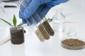 Laboratory assistant holding glass tubes of sand, black soil and clay befor testing them Royalty Free Stock Photo