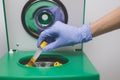 Laboratory assistant inserts tube with urine into medical centrifuge to separate it into fractions for testing. Royalty Free Stock Photo