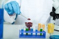 Laboratory assistant in the laboratory of food quality Royalty Free Stock Photo