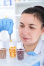 Laboratory assistant in the laboratory of of food quality.Cell culture assay to test genetically modified seed Royalty Free Stock Photo