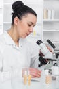 Laboratory assistant in the laboratory of of food quality.Cell culture assay to test genetically modified seed Royalty Free Stock Photo