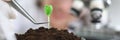 Laboratory assistant touches sprout with forceps