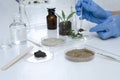 Laboratory assistant working with plants, different kinds of soil and sand, testing and analyzing results Royalty Free Stock Photo