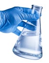 Laboratory beaker in analyst`s hand in plastic glove. Royalty Free Stock Photo