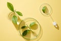 Laboratory concept for advertising cosmetic with ingredient from green tea. Royalty Free Stock Photo