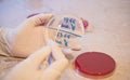 Laboratory doctor holding sterile swab and petri dish Royalty Free Stock Photo