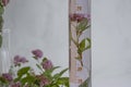 Laboratory flask with flowers background essential innovation