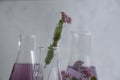 Laboratory flask with flowers background essential innovation alternative biology