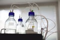 laboratory glass bottles with plastic cables Royalty Free Stock Photo