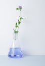 Laboratory glass Erlenmeyer conical flask filled with blue chemical liquid for a chemistry experiment in a science Royalty Free Stock Photo