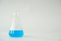 Laboratory glass Erlenmeyer conical flask filled Royalty Free Stock Photo