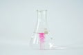 Laboratory glass Erlenmeyer conical flask filled Royalty Free Stock Photo