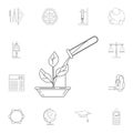 laboratory glass and plant icon. Detailed set of Science. Premium quality graphic design icon. One of the collection icons for web Royalty Free Stock Photo