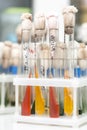 Laboratory glass test tubes filled with orange liquid for an experiment in a science research lab