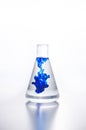 Glassware. Chemical reaction in the flask. Mixing liquids. Laboratory analysis. Royalty Free Stock Photo