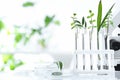 Laboratory glassware with different plants on table against blurred background, space for text