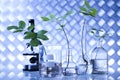 Laboratory glassware equipment, Experimental plant Royalty Free Stock Photo