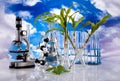 Laboratory glassware, genetically modified plant Royalty Free Stock Photo