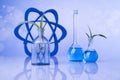 Laboratory glassware, genetically modified plant Royalty Free Stock Photo