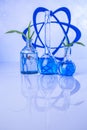 Laboratory glassware, genetically modified plant Royalty Free Stock Photo