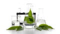 Laboratory glassware with green leaves in a conical flask Royalty Free Stock Photo