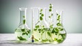 Laboratory glassware, plant research organic chemical green medical ingredient