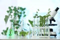 Laboratory glassware with plants and microscope on table, space for text. Royalty Free Stock Photo
