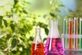 Laboratory glassware and tubes with colorful liquids on glass table outdoors, space for text. Chemical reaction Royalty Free Stock Photo