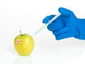 Laboratory injected bio hazardous apple Royalty Free Stock Photo