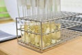 Laboratory microbiology bacteria agar tube in incubator quality control process