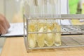 Laboratory microbiology bacteria agar tube in incubator quality control process