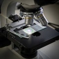 The microscope features multiple objective lenses and a mechanica Royalty Free Stock Photo