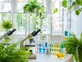 Laboratory with microscopes, test tubes, and plants, science and research concept Royalty Free Stock Photo