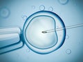 Laboratory microscopic research of IVF (in vitro fertilization). Royalty Free Stock Photo