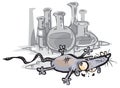 Laboratory mouse. Royalty Free Stock Photo