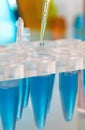 Detail of a laboratory pipette depositing a drop Royalty Free Stock Photo