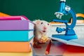 Laboratory rat. Funny white rat mouse in classroom. White test rat sitting on microscope. Laboratory rat in a lab Royalty Free Stock Photo