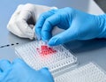Laboratory Researchers Handling Blood Sample in Scientific Environment Royalty Free Stock Photo