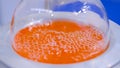 Laboratory round bottom flask heating equipment - boiling orange liquid: closeup