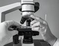 Laboratory Scientist Using Microscope for Research Analysis Royalty Free Stock Photo