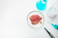 Laboratory studies of artificial meat. Minced meat in glass Petri dish. Chemical experiment. Space for text