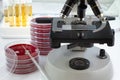 laboratory table with a microscope, plates and tubes for analysis Royalty Free Stock Photo