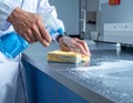 Laboratory Technician Cleaning Laboratory Surface with Sponge Royalty Free Stock Photo