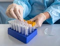 Laboratory Technician Handling Test Tubes with Blood Samples Royalty Free Stock Photo