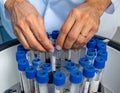 Laboratory Technician Handling Test Tubes in Scientific Environment Royalty Free Stock Photo