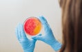 Laboratory technician testing for bacterial infection Royalty Free Stock Photo
