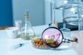 Healthy food concept. A laboratory technician's hand holds a magnifying glass, corn seeds, adorned with plates with the