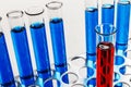 Laboratory test tubes on a rack with blue and red liquid. Royalty Free Stock Photo